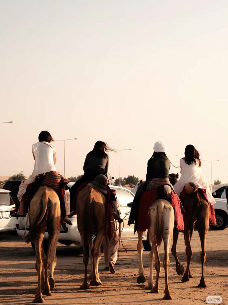 WhatsApp Image 2025-10-02 at 4.18.42 PM (2)