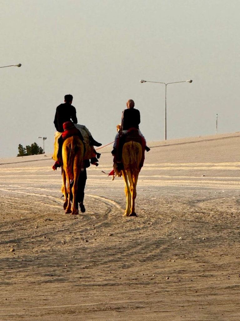 WhatsApp Image 2025-10-02 at 4.18.44 PM (1)