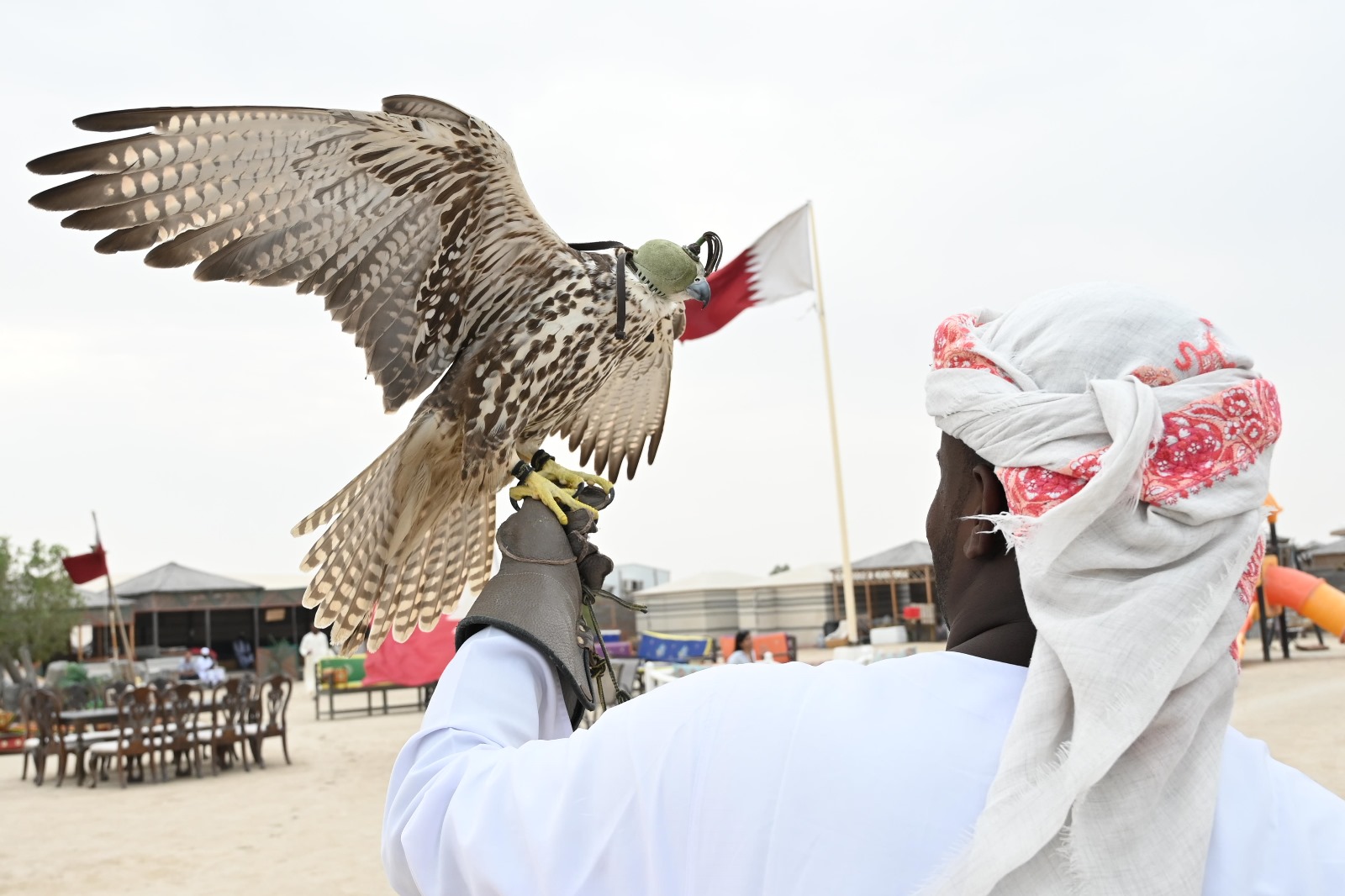 WhatsApp Image 2025-10-02 at 4.18.44 PM (2)