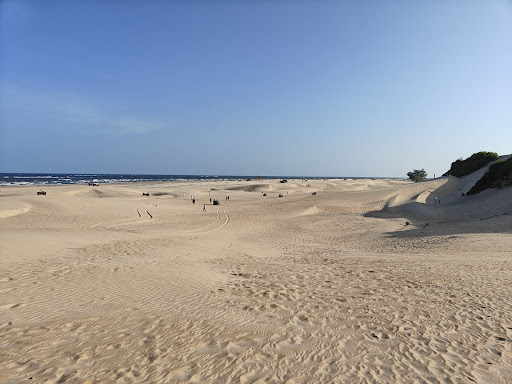 Photo from customer review