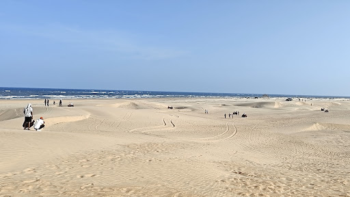 Photo from customer review