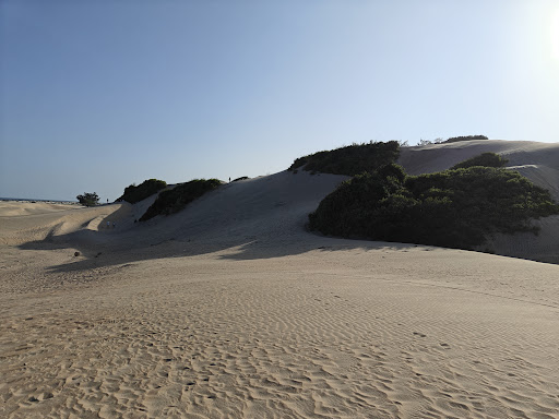 Photo from customer review