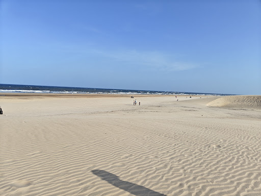 Photo from customer review